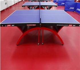 威孚運動地板-乒乓球場案例01