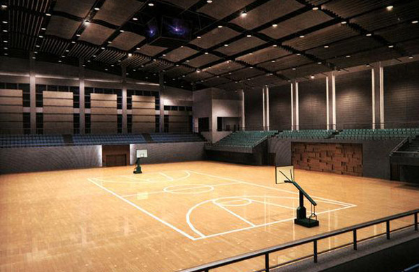 體育運(yùn)動(dòng)案例 體育運(yùn)動(dòng)案例