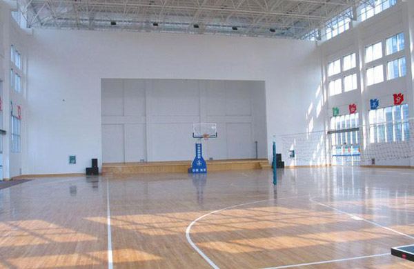 體育運(yùn)動(dòng)案例