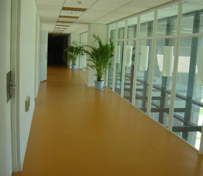 商業(yè)橡膠地板實(shí)例001