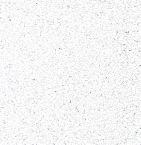 660be2f8e9338325e909dbd05f75ff73